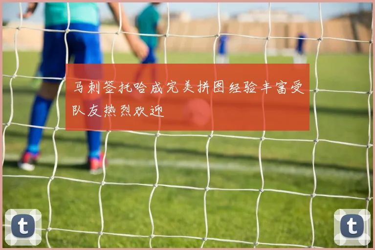 马刺签托哈成完美拼图经验丰富受队友热烈欢迎