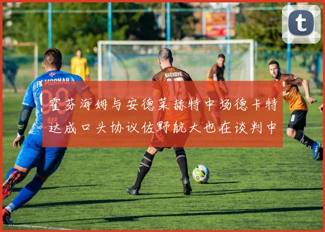 霍芬海姆与安德莱赫特中场德卡特达成口头协议佐野航大也在谈判中